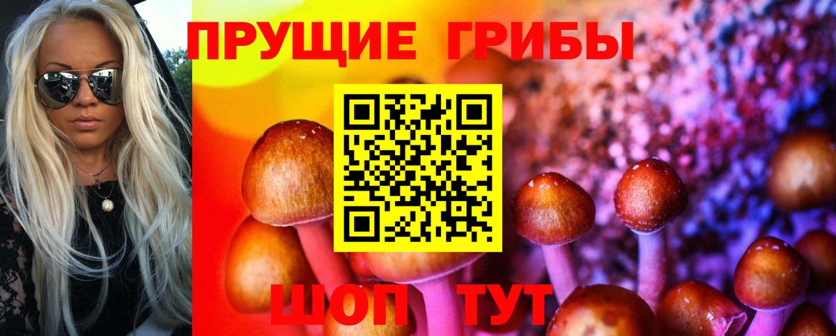 Лысьва  Галлюциногенные грибы Magic Shrooms  Вход с VPN  Галлюциногенные грибы Psilocybine cubensis 